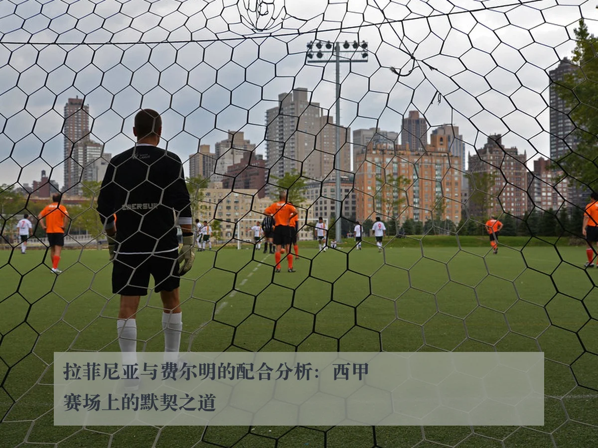 拉菲尼亚与费尔明的配合分析：西甲赛场上的默契之道